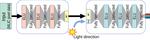 Neural reflectance transformation imaging